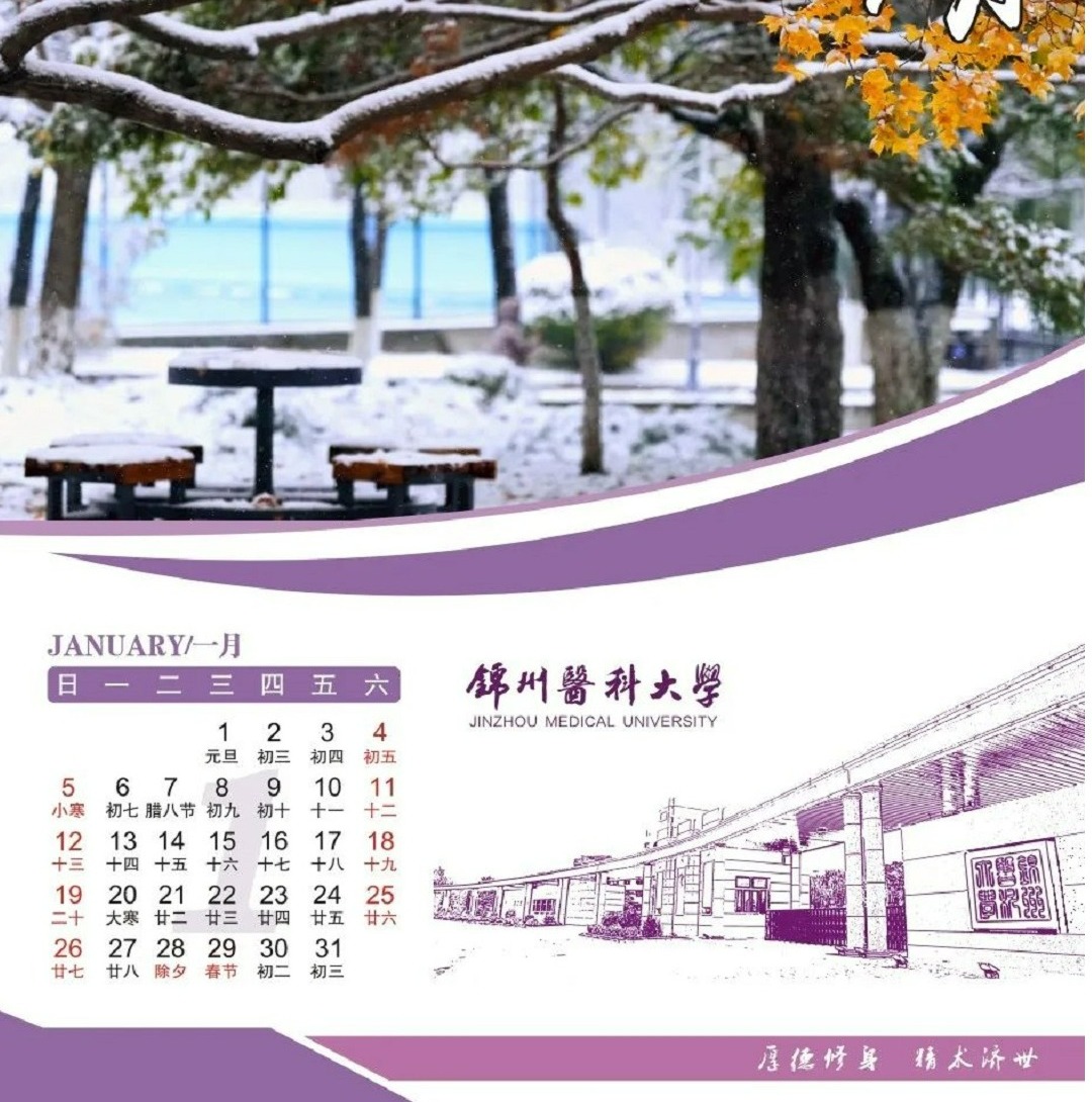 元月新启 逐梦前行！2025锦医专属日历上线啦~